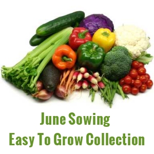 June Sowing Seeds  - Easy Grow Varieties
